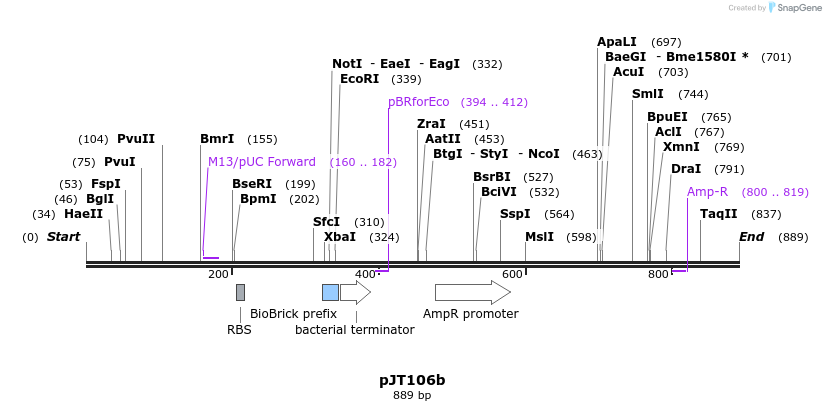 38384_map