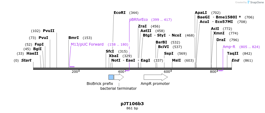 38385_map