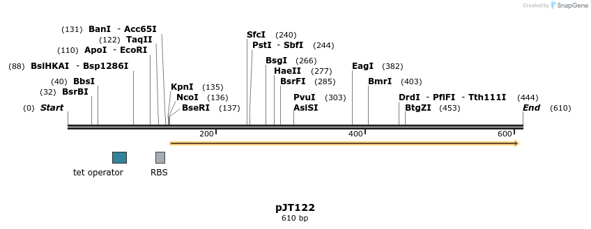 38386_map