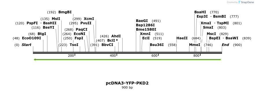 38389_map
