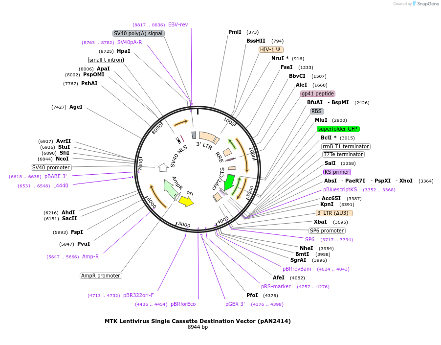 383905_map