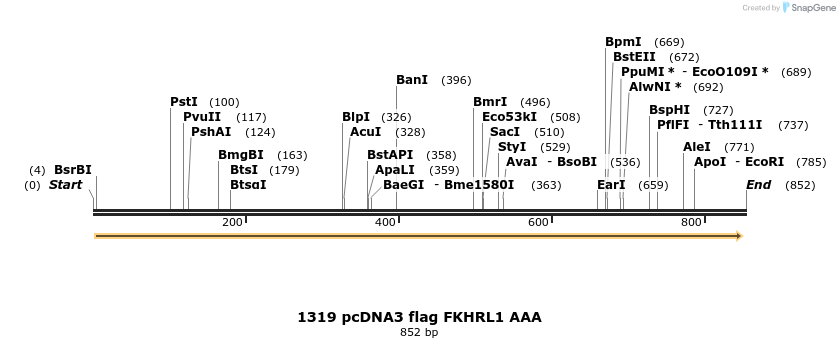 38391_map