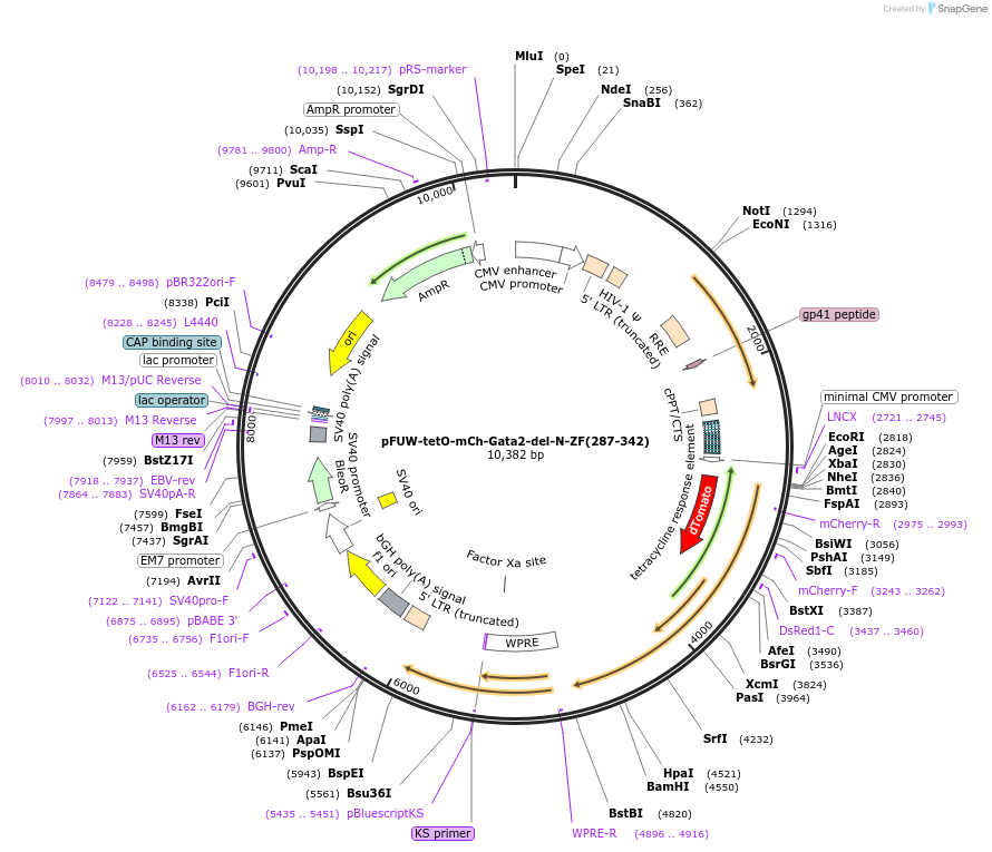 383960_map