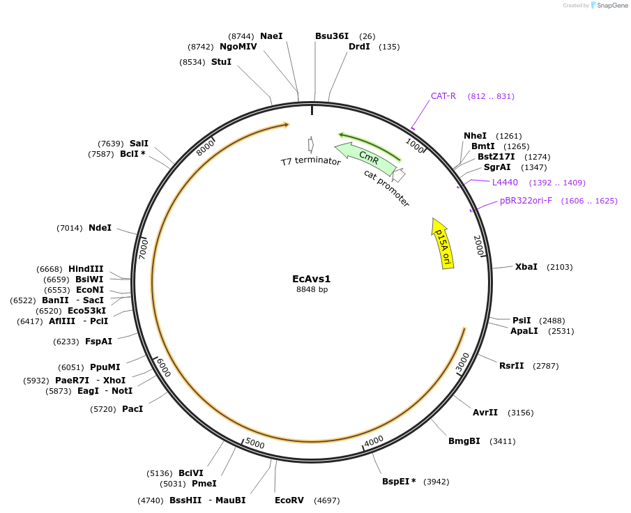 384034_map