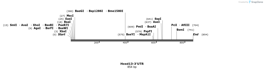 38404_map