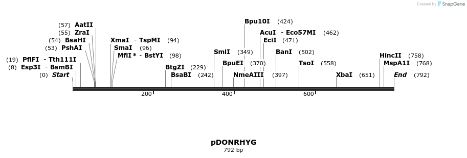 38412_map