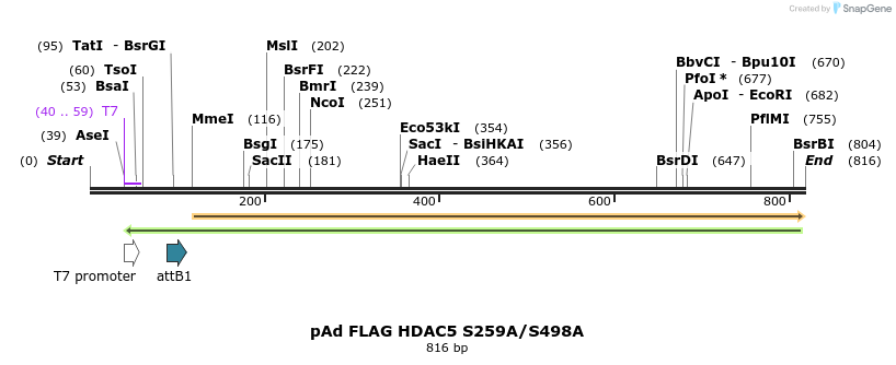 38413_map