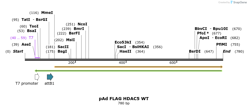 38414_map