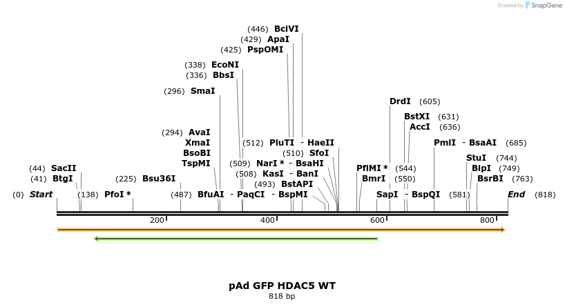 38415_map