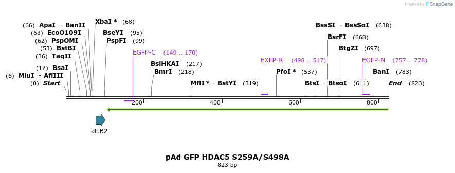 38419_map