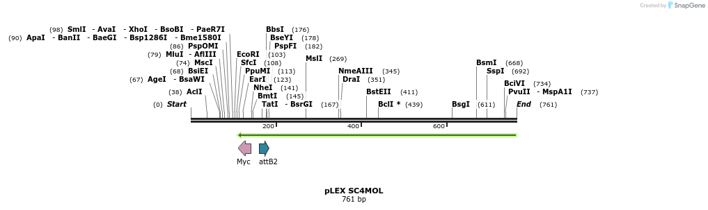 38422_map