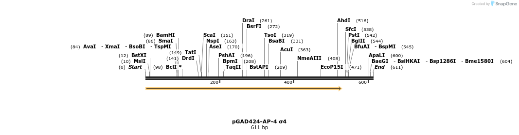 384232_map