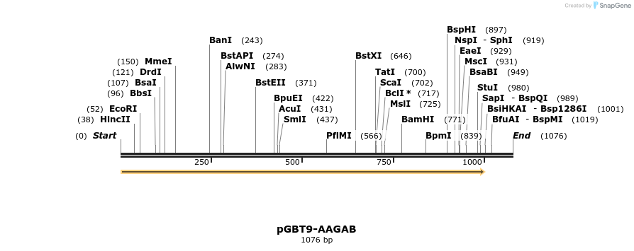 384250_map