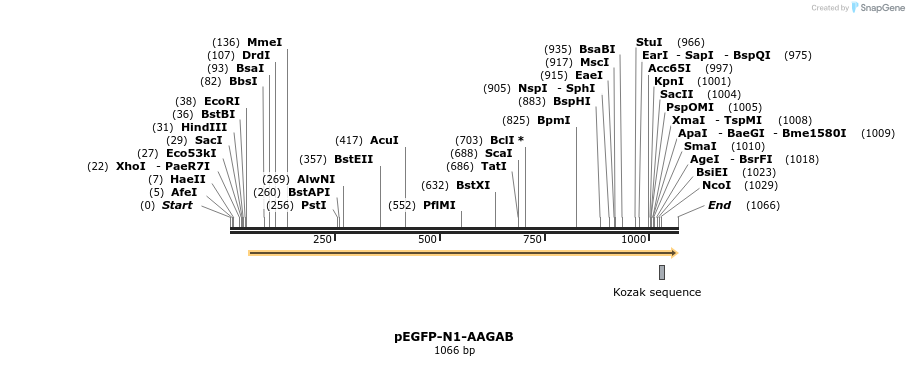 384257_map