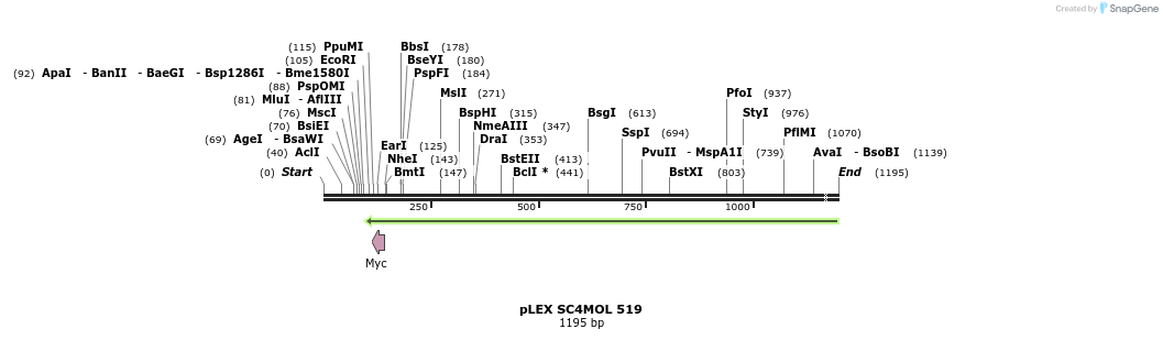 38426_map