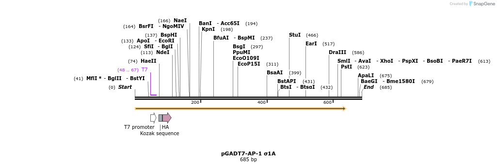 384266_map