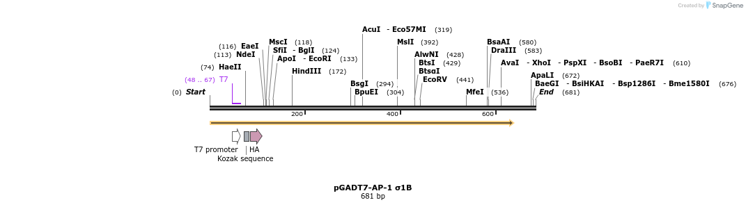 384272_map