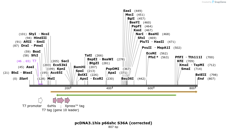 38429_map