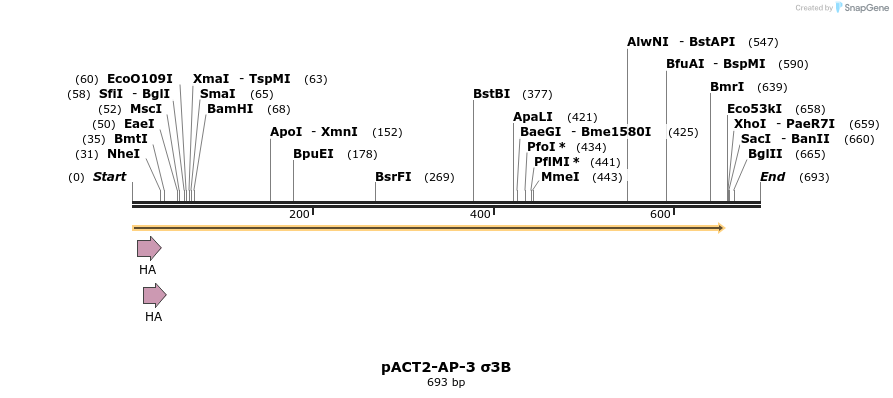 384306_map