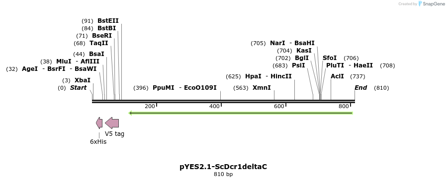38433_map