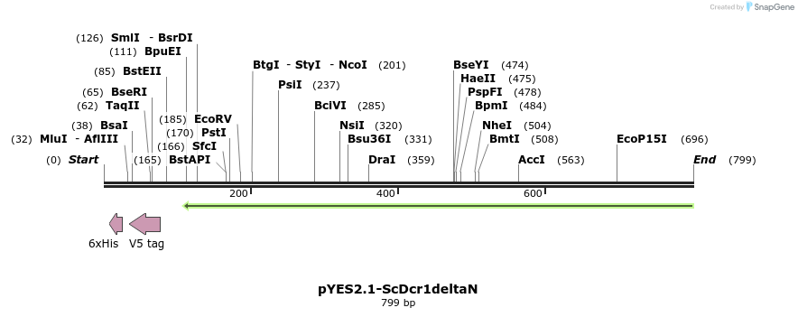 38434_map
