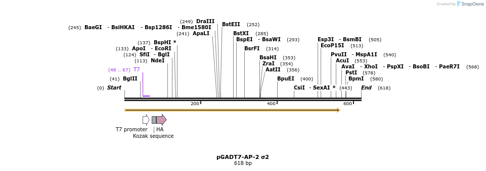 384383_map
