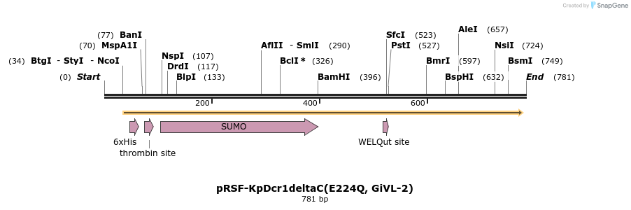 38450_map