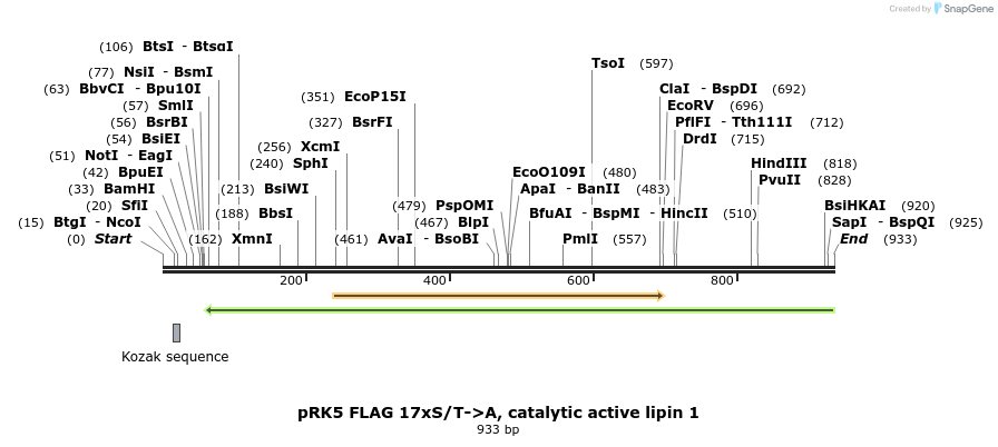 38454_map