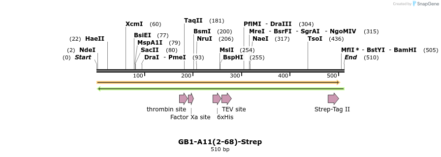 384559_map