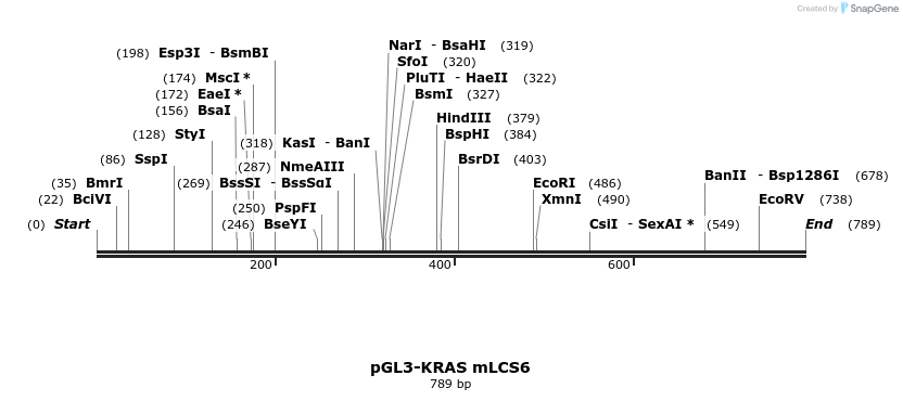 38456_map