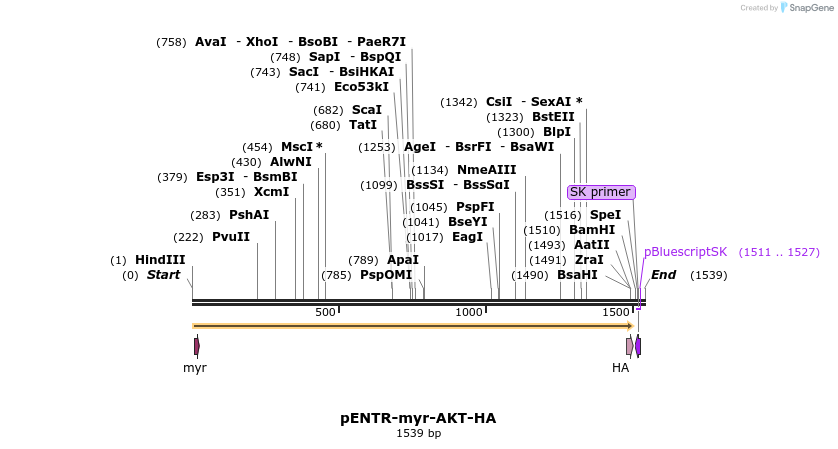 38461_map