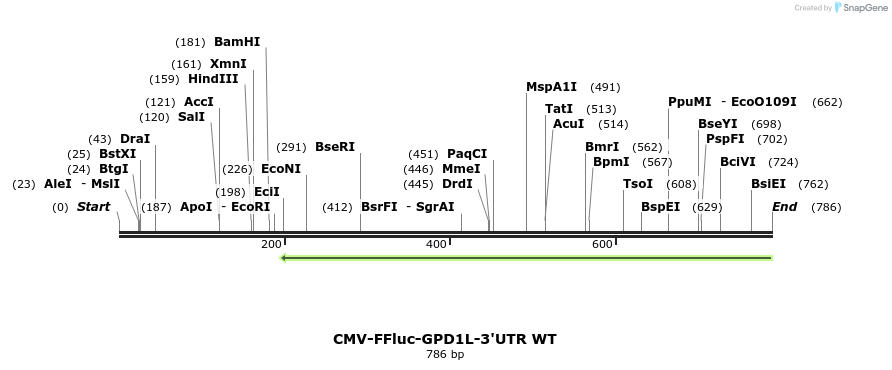 38463_map