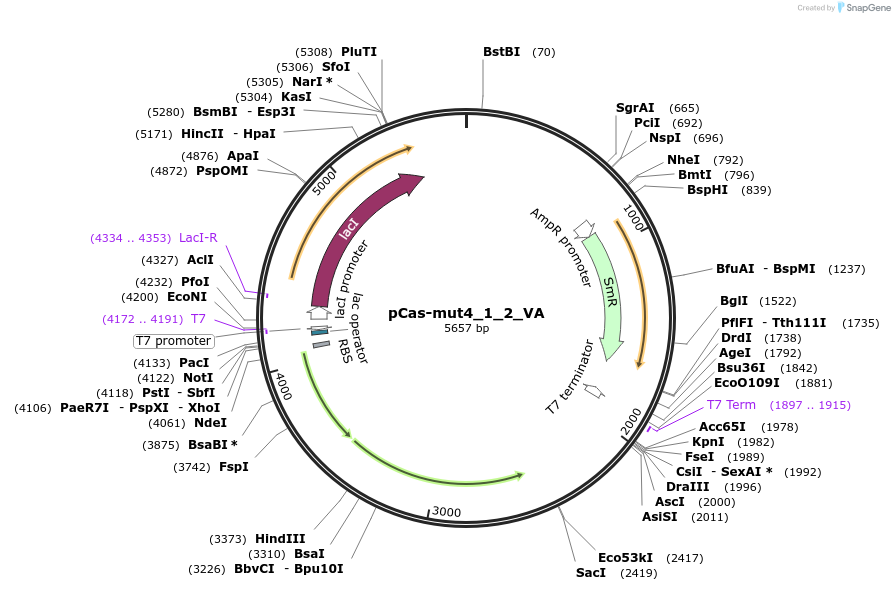 384674_map
