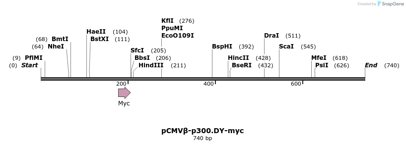 38469_map