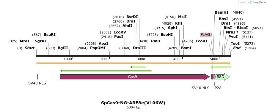 384696_map
