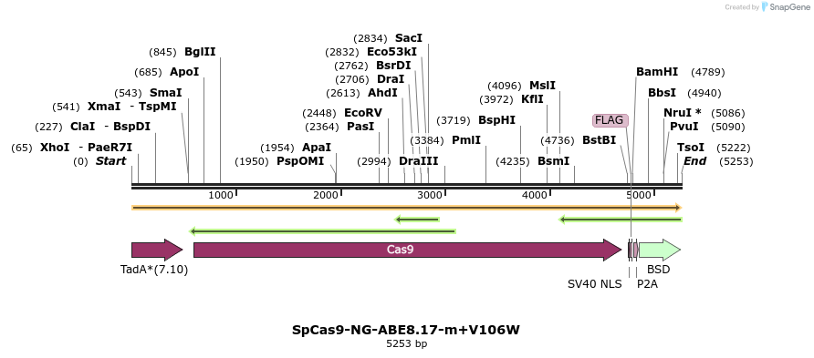384697_map