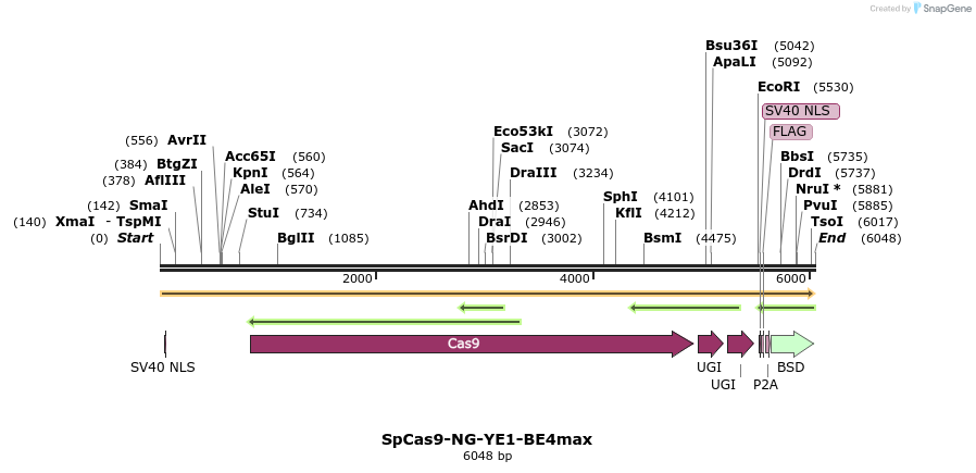 384698_map