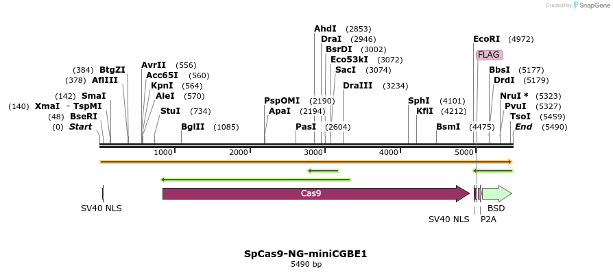 384701_map