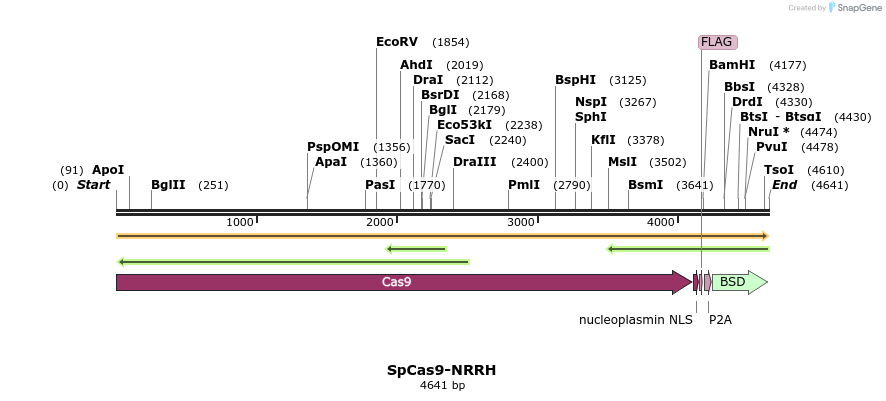 384703_map