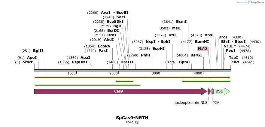 384704_map
