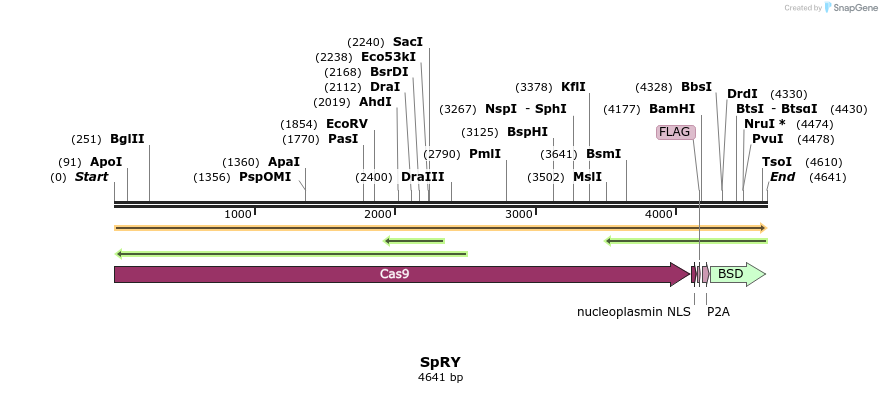384707_map