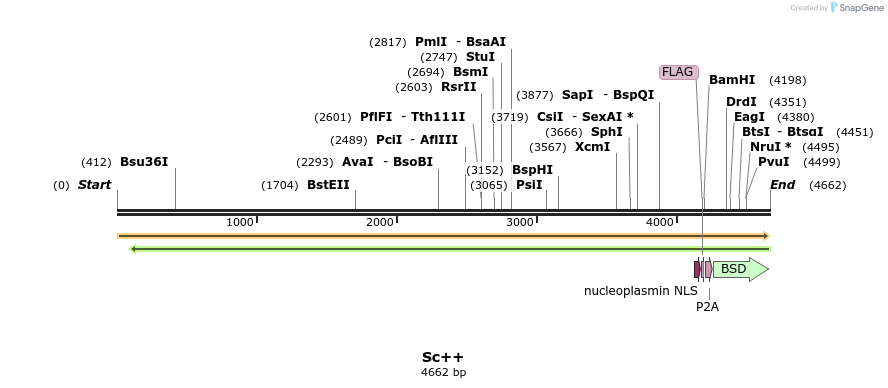 384708_map