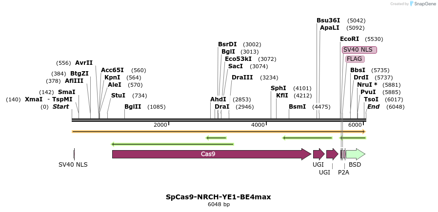 384712_map