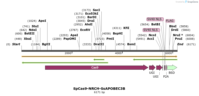 384713_map