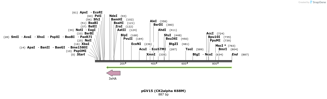 38476_map