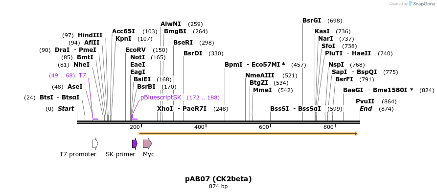 38481_map