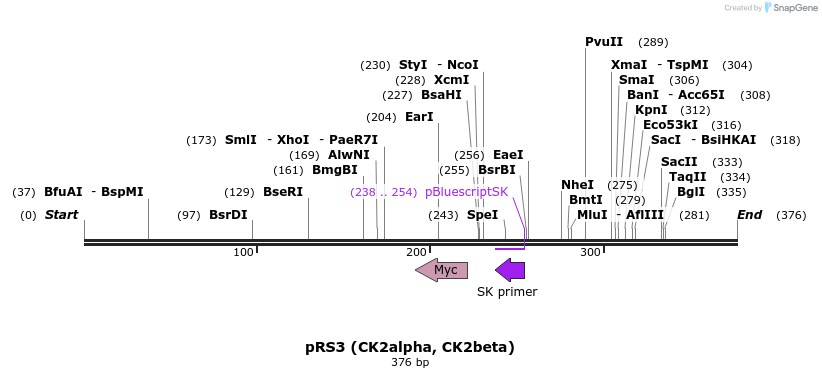 38485_map