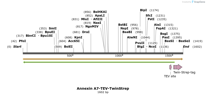 384921_map