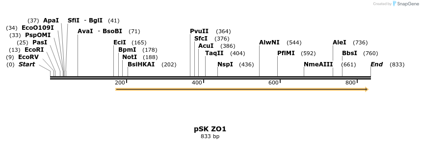 38493_map