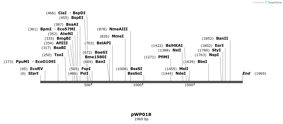 385020_map